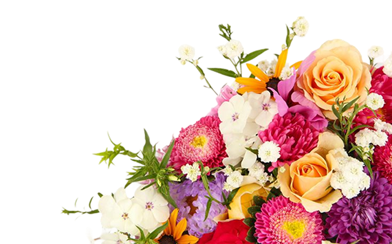 banner flower img
